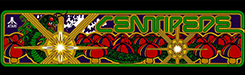 Centipede