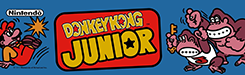 Donkey Kong Jr.